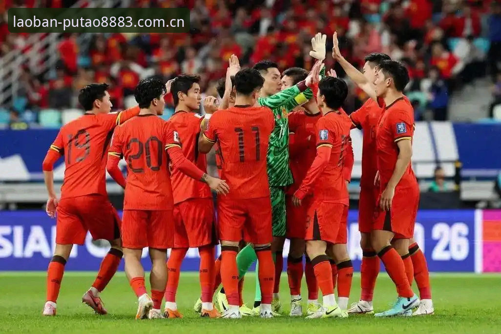 2030世界杯扩军至66队的全面解析：中国男足的机遇与新葡萄官网版观赛体验